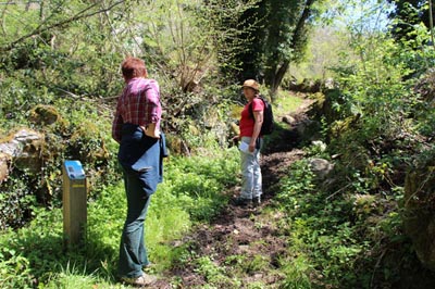 Sentier oussaillé 2017